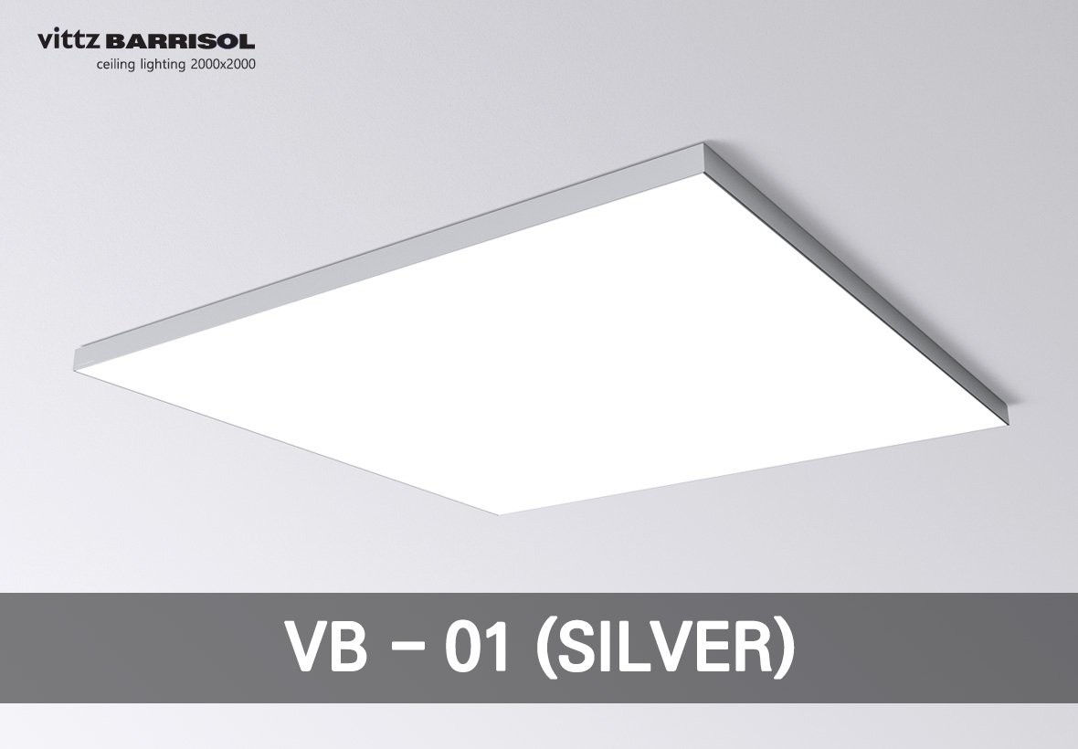 VB - 01 (SILVER)