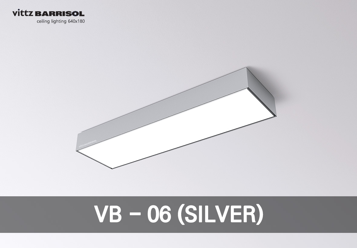 VB - 06 (SILVER)